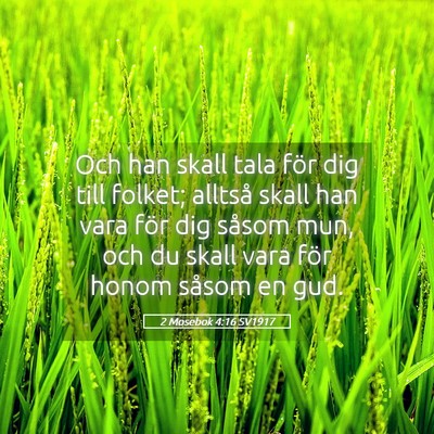 Picture 05 - 2 Mosebok 4:16 SV1917 - Och han skall tala för dig till folket; alltså - Bible Verse Picture