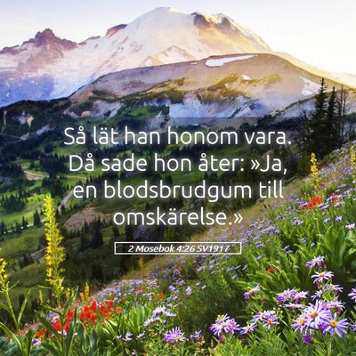 Picture 05 - 2 Mosebok 4:26 SV1917 - Så lät han honom vara. Då sade hon åter: - Bible Verse Picture