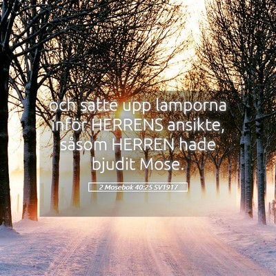 Picture 05 - 2 Mosebok 40:25 SV1917 - och satte upp lamporna inför HERRENS ansikte, - Bible Verse Picture