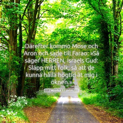 Picture 05 - 2 Mosebok 5:1 SV1917 - Därefter kommo Mose och Aron och sade till - Bible Verse Picture