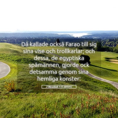 Picture 05 - 2 Mosebok 7:11 SV1917 - Då kallade också Farao till sig sina vise och - Bible Verse Picture