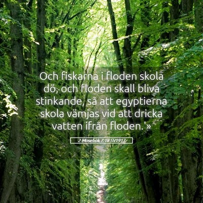Picture 05 - 2 Mosebok 7:18 SV1917 - Och fiskarna i floden skola dö, och floden skall - Bible Verse Picture