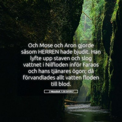 Picture 05 - 2 Mosebok 7:20 SV1917 - Och Mose och Aron gjorde såsom HERREN hade - Bible Verse Picture