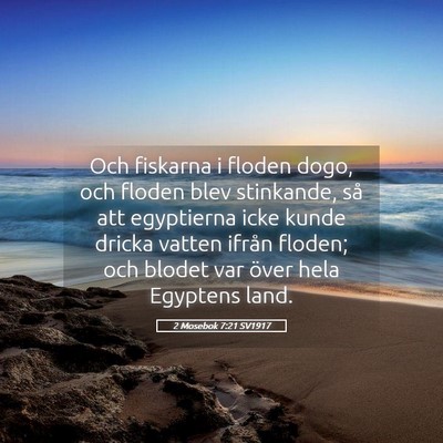 Picture 05 - 2 Mosebok 7:21 SV1917 - Och fiskarna i floden dogo, och floden blev - Bible Verse Picture