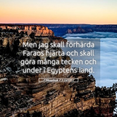 Picture 05 - 2 Mosebok 7:3 SV1917 - Men jag skall förhärda Faraos hjärta och skall - Bible Verse Picture