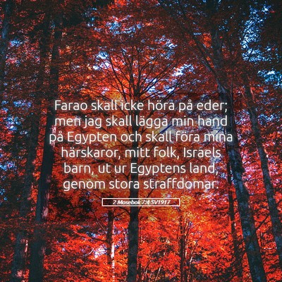 Picture 05 - 2 Mosebok 7:4 SV1917 - Farao skall icke höra på eder; men jag skall - Bible Verse Picture
