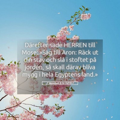 Picture 05 - 2 Mosebok 8:16 SV1917 - Därefter sade HERREN till Mose: »Säg till - Bible Verse Picture
