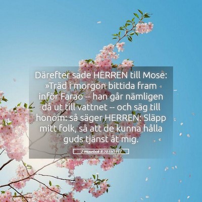 Picture 05 - 2 Mosebok 8:20 SV1917 - Därefter sade HERREN till Mose: »Träd i morgon - Bible Verse Picture