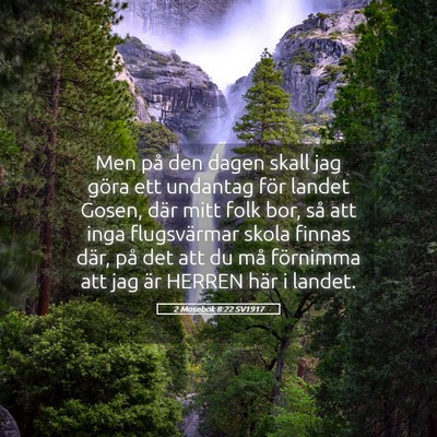 Picture 05 - 2 Mosebok 8:22 SV1917 - Men på den dagen skall jag göra ett undantag - Bible Verse Picture