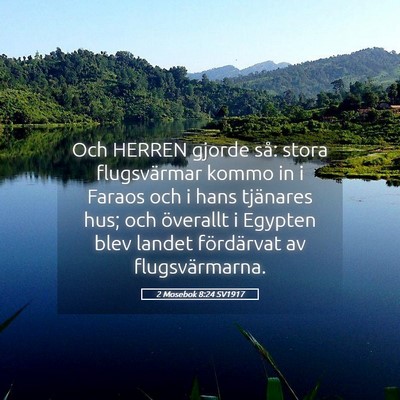 Picture 05 - 2 Mosebok 8:24 SV1917 - Och HERREN gjorde så: stora flugsvärmar kommo - Bible Verse Picture