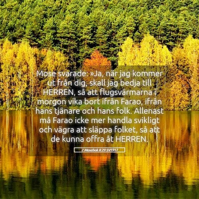 Picture 05 - 2 Mosebok 8:29 SV1917 - Mose svarade: »Ja, när jag kommer ut från dig, - Bible Verse Picture