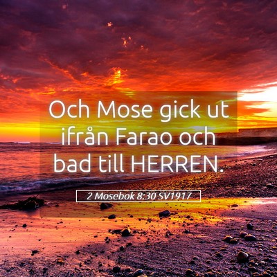 Picture 05 - 2 Mosebok 8:30 SV1917 - Och Mose gick ut ifrån Farao och bad till - Bible Verse Picture