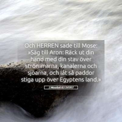 Picture 05 - 2 Mosebok 8:5 SV1917 - Och HERREN sade till Mose: »Säg till Aron: - Bible Verse Picture