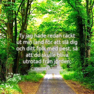 Picture 05 - 2 Mosebok 9:15 SV1917 - Ty jag hade redan räckt ut min land för att - Bible Verse Picture
