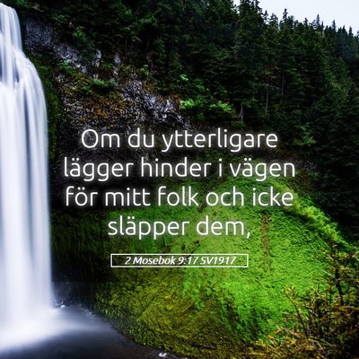 Picture 05 - 2 Mosebok 9:17 SV1917 - Om du ytterligare lägger hinder i vägen för - Bible Verse Picture