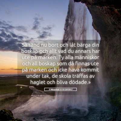 Picture 05 - 2 Mosebok 9:19 SV1917 - Så sänd nu bort och låt bärga din boskap och - Bible Verse Picture