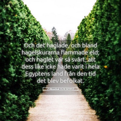 Picture 05 - 2 Mosebok 9:24 SV1917 - Och det haglade, och bland hagelskurarna flammade - Bible Verse Picture