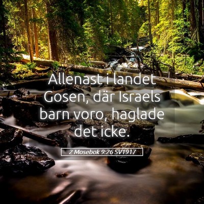 Picture 05 - 2 Mosebok 9:26 SV1917 - Allenast i landet Gosen, där Israels barn voro, - Bible Verse Picture