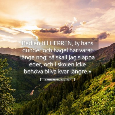 Picture 05 - 2 Mosebok 9:28 SV1917 - Bedjen till HERREN, ty hans dunder och hagel har - Bible Verse Picture
