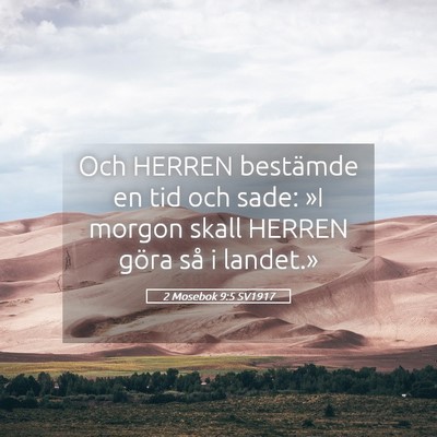 Picture 05 - 2 Mosebok 9:5 SV1917 - Och HERREN bestämde en tid och sade: »I morgon - Bible Verse Picture