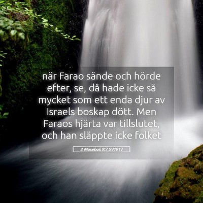 Picture 05 - 2 Mosebok 9:7 SV1917 - när Farao sände och hörde efter, se, då hade - Bible Verse Picture
