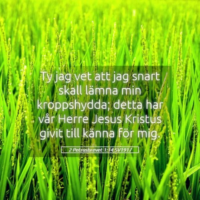 Picture 05 - 2 Petrusbrevet 1:14 SV1917 - Ty jag vet att jag snart skall lämna min - Bible Verse Picture