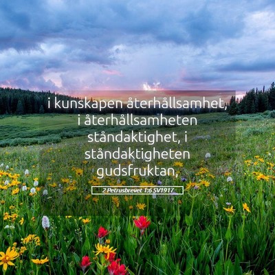 Picture 05 - 2 Petrusbrevet 1:6 SV1917 - i kunskapen återhållsamhet, i - Bible Verse Picture