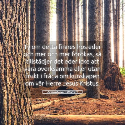 Picture 05 - 2 Petrusbrevet 1:8 SV1917 - Ty om detta finnes hos eder och mer och mer - Bible Verse Picture