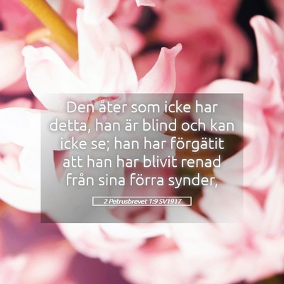 Picture 05 - 2 Petrusbrevet 1:9 SV1917 - Den åter som icke har detta, han är blind och - Bible Verse Picture