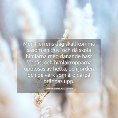 Picture 05 - 2 Petrusbrevet 3:10 SV1917 - Men Herrens dag skall komma såsom en tjuv, och - Bible Verse Picture