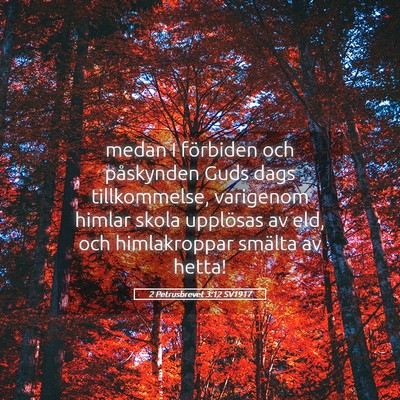 Picture 05 - 2 Petrusbrevet 3:12 SV1917 - medan I förbiden och påskynden Guds dags - Bible Verse Picture