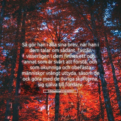 Picture 05 - 2 Petrusbrevet 3:16 SV1917 - Så gör han i alla sina brev, när han i dem - Bible Verse Picture
