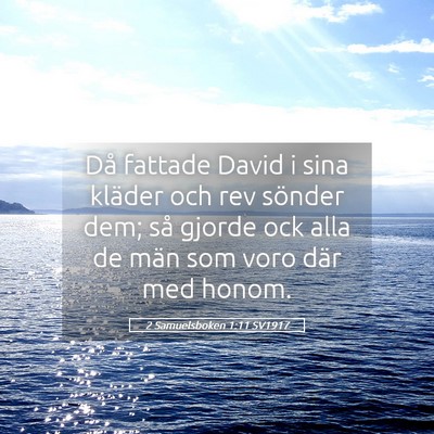 Picture 05 - 2 Samuelsboken 1:11 SV1917 - Då fattade David i sina kläder och rev sönder - Bible Verse Picture