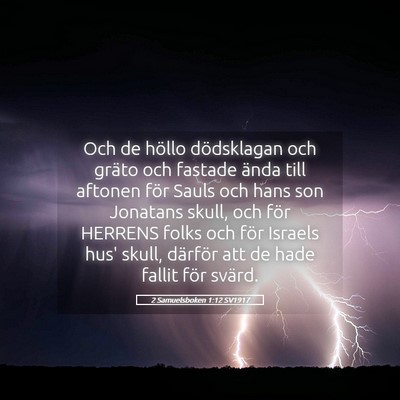 Picture 05 - 2 Samuelsboken 1:12 SV1917 - Och de höllo dödsklagan och gräto och fastade - Bible Verse Picture
