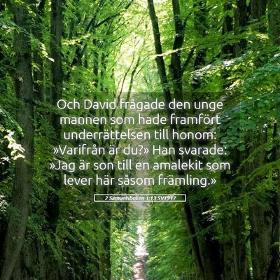 Picture 05 - 2 Samuelsboken 1:13 SV1917 - Och David frågade den unge mannen som hade - Bible Verse Picture