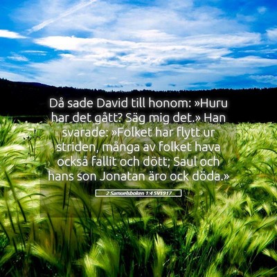 Picture 05 - 2 Samuelsboken 1:4 SV1917 - Då sade David till honom: »Huru har det gått? - Bible Verse Picture