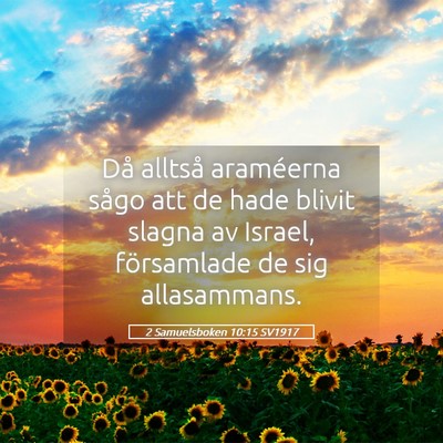 Picture 05 - 2 Samuelsboken 10:15 SV1917 - Då alltså araméerna sågo att de hade blivit - Bible Verse Picture