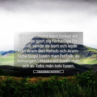 Picture 05 - 2 Samuelsboken 10:6 SV1917 - Då nu Ammons barn insågo att de hade gjort sig - Bible Verse Picture