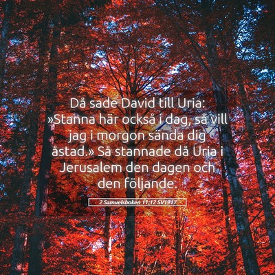 Picture 05 - 2 Samuelsboken 11:12 SV1917 - Då sade David till Uria: »Stanna här också i - Bible Verse Picture