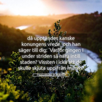 Picture 05 - 2 Samuelsboken 11:20 SV1917 - då upptändes kanske konungens vrede, och han - Bible Verse Picture