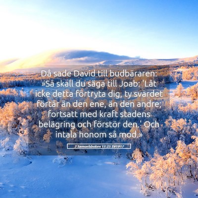 Picture 05 - 2 Samuelsboken 11:25 SV1917 - Då sade David till budbäraren: »Så skall du - Bible Verse Picture