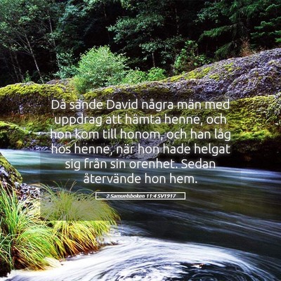 Picture 05 - 2 Samuelsboken 11:4 SV1917 - Då sände David några män med uppdrag att - Bible Verse Picture