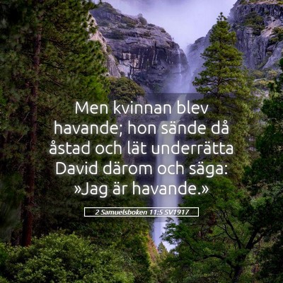 Picture 05 - 2 Samuelsboken 11:5 SV1917 - Men kvinnan blev havande; hon sände då åstad - Bible Verse Picture