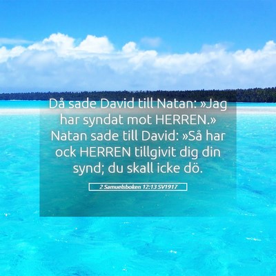 Picture 05 - 2 Samuelsboken 12:13 SV1917 - Då sade David till Natan: »Jag har syndat mot - Bible Verse Picture