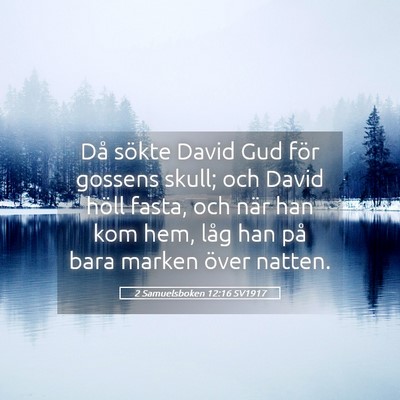 Picture 05 - 2 Samuelsboken 12:16 SV1917 - Då sökte David Gud för gossens skull; och - Bible Verse Picture