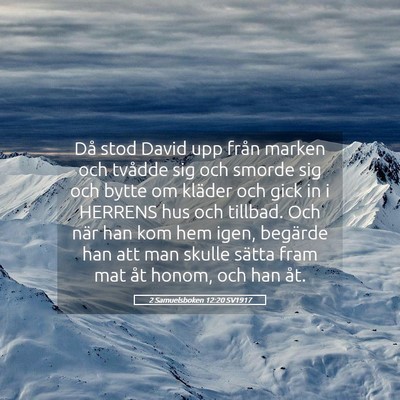 Picture 05 - 2 Samuelsboken 12:20 SV1917 - Då stod David upp från marken och tvådde sig - Bible Verse Picture