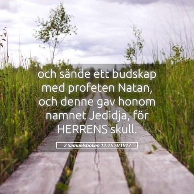 Picture 05 - 2 Samuelsboken 12:25 SV1917 - och sände ett budskap med profeten Natan, och - Bible Verse Picture