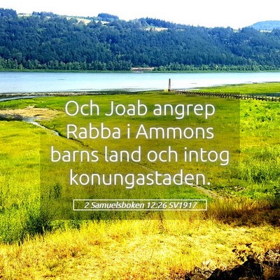Picture 05 - 2 Samuelsboken 12:26 SV1917 - Och Joab angrep Rabba i Ammons barns land och - Bible Verse Picture