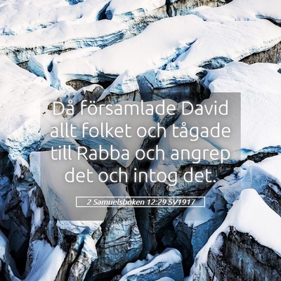 Picture 05 - 2 Samuelsboken 12:29 SV1917 - Då församlade David allt folket och tågade - Bible Verse Picture