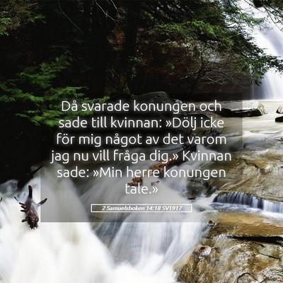 Picture 05 - 2 Samuelsboken 14:18 SV1917 - Då svarade konungen och sade till kvinnan: - Bible Verse Picture